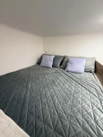 Prodej bytu 1+kk, Opava - Předměstí, Alšova, 15 m2