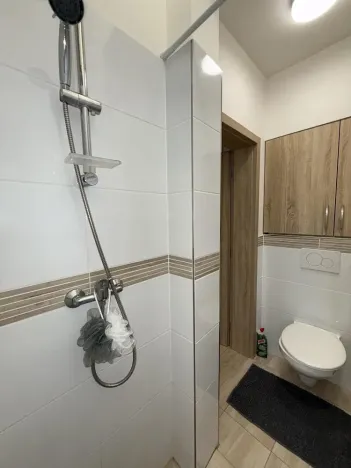 Prodej bytu 1+kk, Opava - Předměstí, Alšova, 15 m2