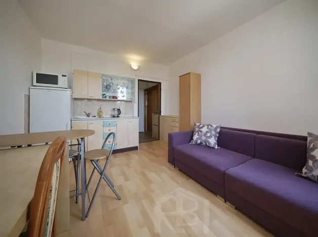 Pronájem bytu 1+kk, Jindřichův Hradec, sídliště U Nádraží, 20 m2