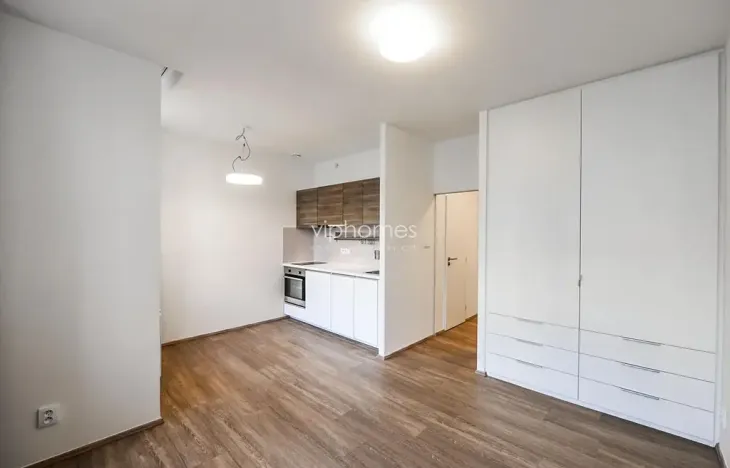 Pronájem bytu 1+kk, Praha - Vinohrady, Lucemburská, 30 m2