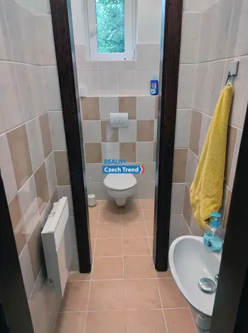 Pronájem bytu 4+1, Zlaté Hory, 170 m2