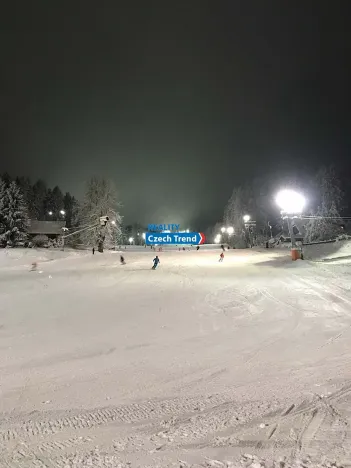 Pronájem bytu 4+1, Zlaté Hory, 170 m2