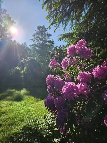 Prodej rodinného domu, Pila, 220 m2