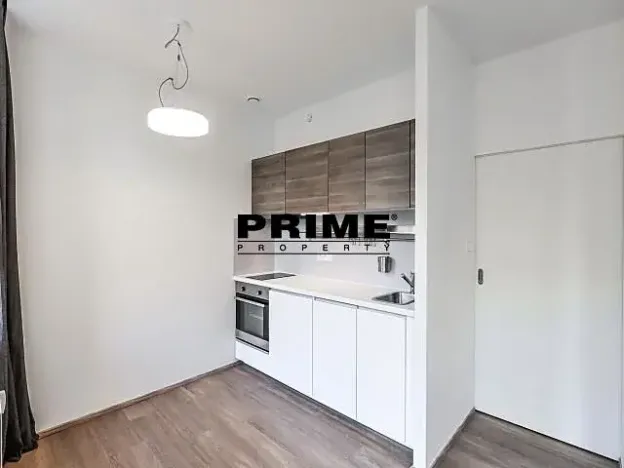 Pronájem bytu 1+kk, Praha - Žižkov, Lucemburská, 30 m2