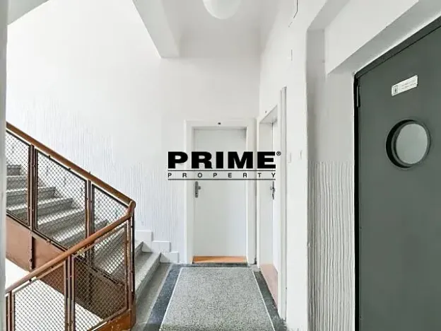 Pronájem bytu 1+kk, Praha - Žižkov, Lucemburská, 30 m2