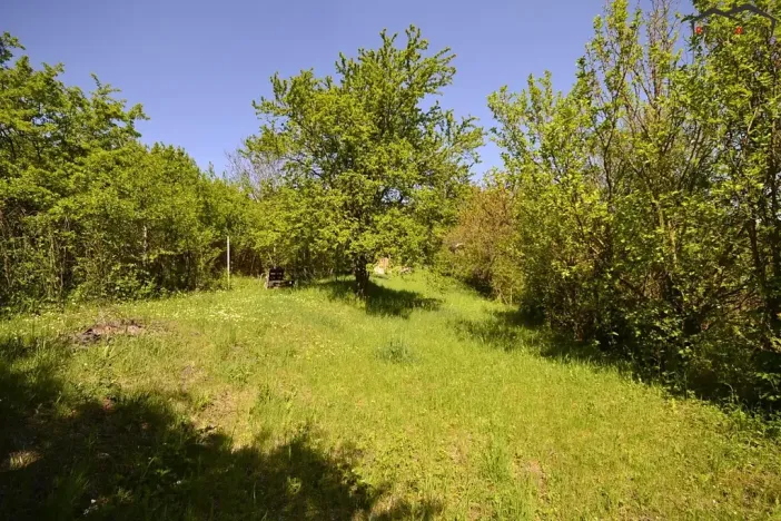 Prodej zahrady, Hostěrádky-Rešov, 705 m2