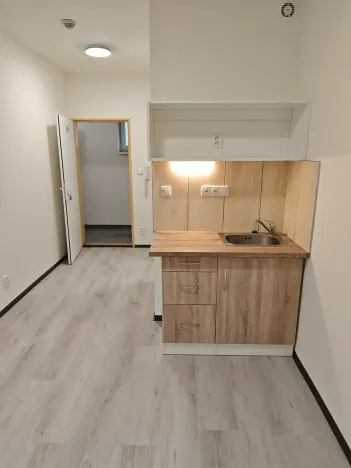 Pronájem bytu 1+kk, Praha - Hlubočepy, Na Zlíchově, 18 m2