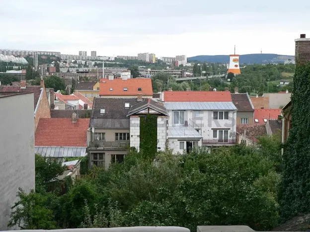 Pronájem bytu 1+1, Brno, Palackého třída, 36 m2