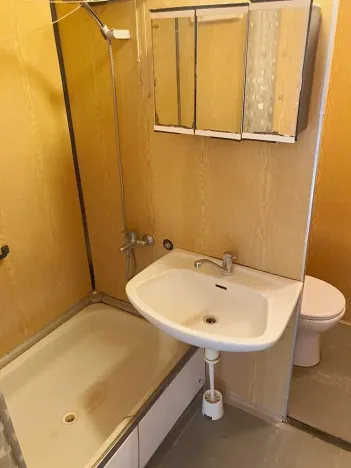 Prodej bytu 2+1, Ostrava, Horymírova, 43 m2