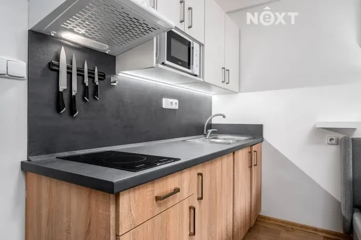 Prodej bytu 1+kk, Rokytnice nad Jizerou, 20 m2