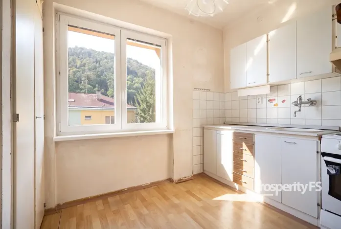Prodej bytu 1+1, Velké Březno, Litoměřická, 31 m2