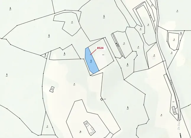 Dražba lesa, Vsetín, 939 m2