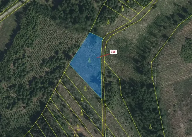 Dražba lesa, Knínice, 2059 m2