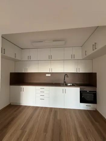 Pronájem bytu 3+1, Přáslavice, 150 m2