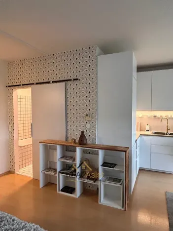 Pronájem bytu 1+kk, Brno, Chudčická, 40 m2
