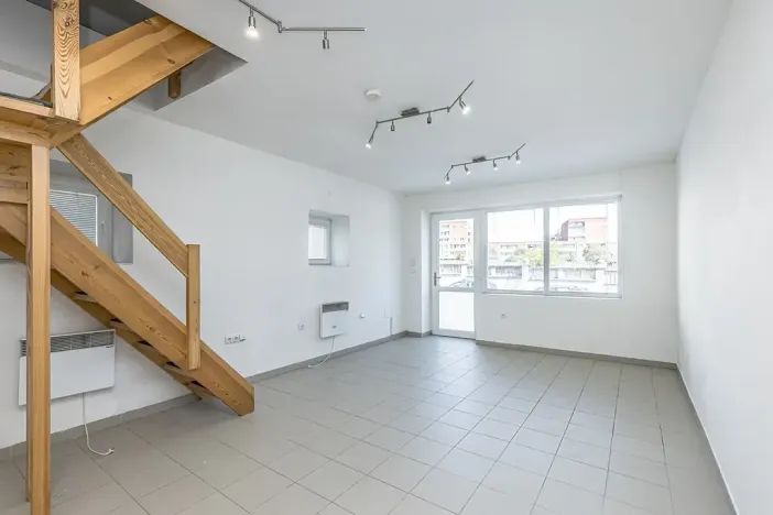 Prodej vícegeneračního domu, Mladá Boleslav, Viničná, 266 m2