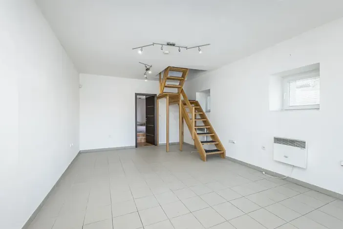 Prodej vícegeneračního domu, Mladá Boleslav, Viničná, 266 m2