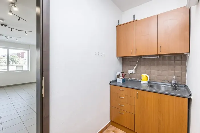 Prodej vícegeneračního domu, Mladá Boleslav, Viničná, 266 m2