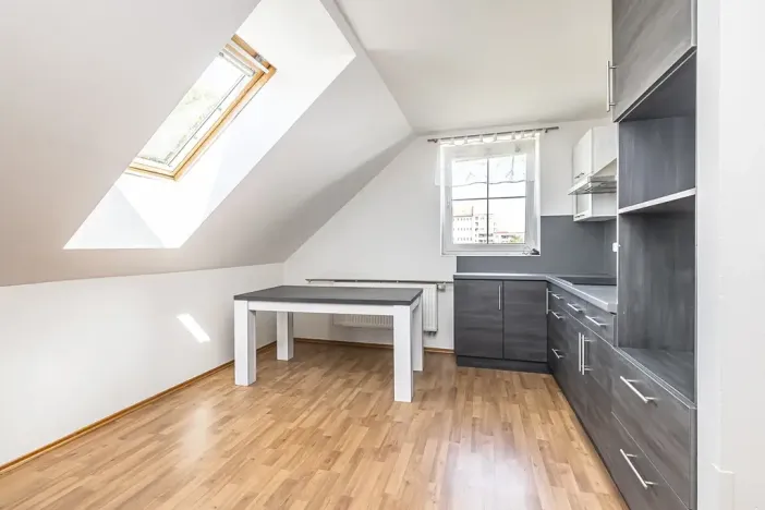 Prodej vícegeneračního domu, Mladá Boleslav, Viničná, 266 m2