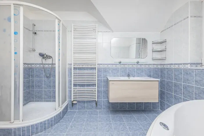 Prodej vícegeneračního domu, Mladá Boleslav, Viničná, 266 m2