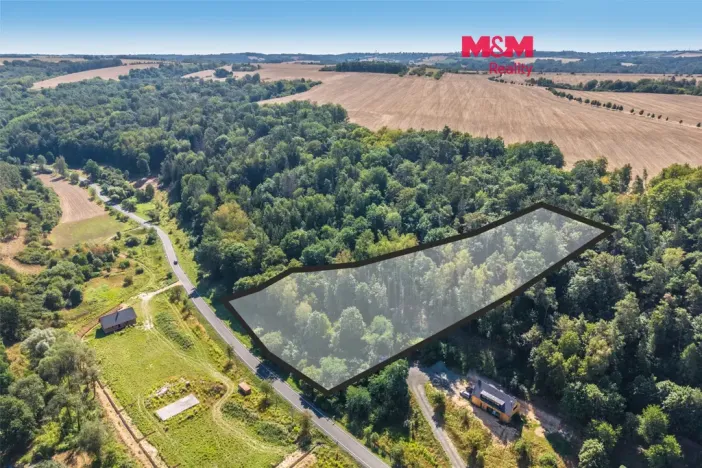 Prodej lesa, Tupadly, 5004 m2