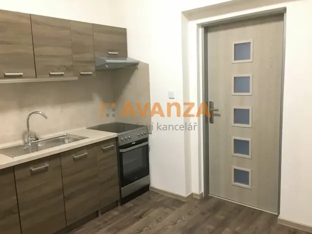 Prodej činžovního domu, Děčín, Kamenická, 261 m2