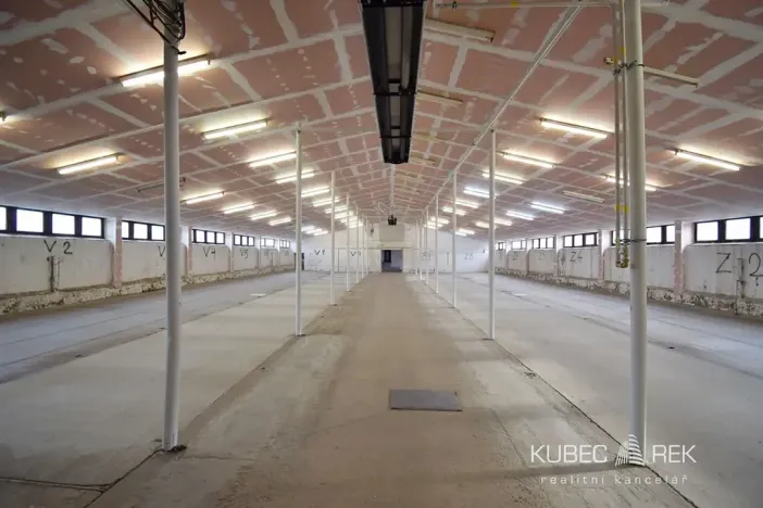 Pronájem skladu, Tábor, Pod Kozím hrádkem, 561 m2