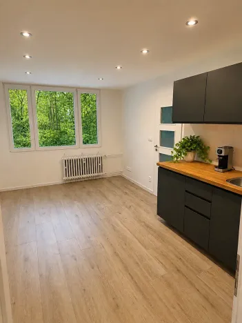 Prodej bytu 2+kk, Praha - Krč, Hurbanova, 40 m2