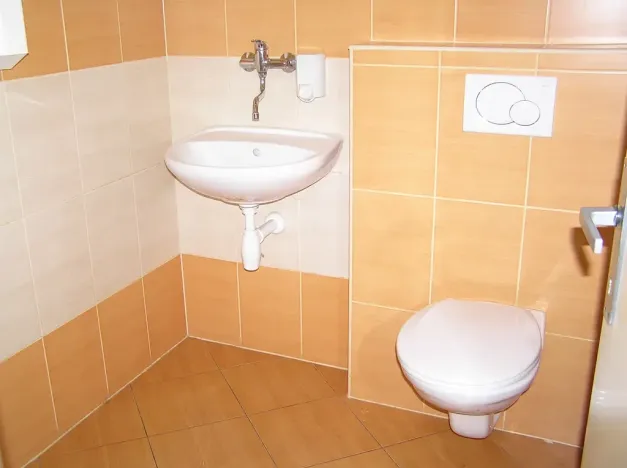Pronájem obchodního prostoru, Prostějov, Netušilova, 67 m2