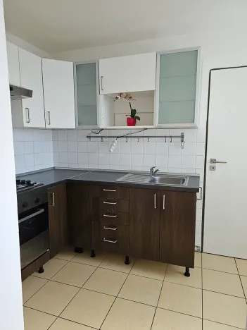 Pronájem vícegeneračního domu, Velká Polom, 100 m2