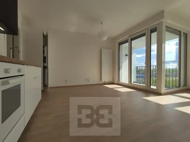 Pronájem bytu 1+kk, Praha - Žižkov, Olgy Havlové, 37 m2