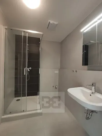 Pronájem bytu 1+kk, Praha - Žižkov, Olgy Havlové, 37 m2