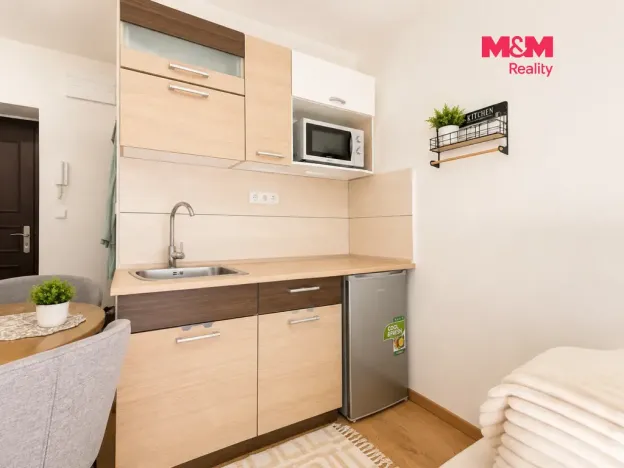 Prodej bytu 1+kk, Líšnice, Spálený Mlýn, 18 m2