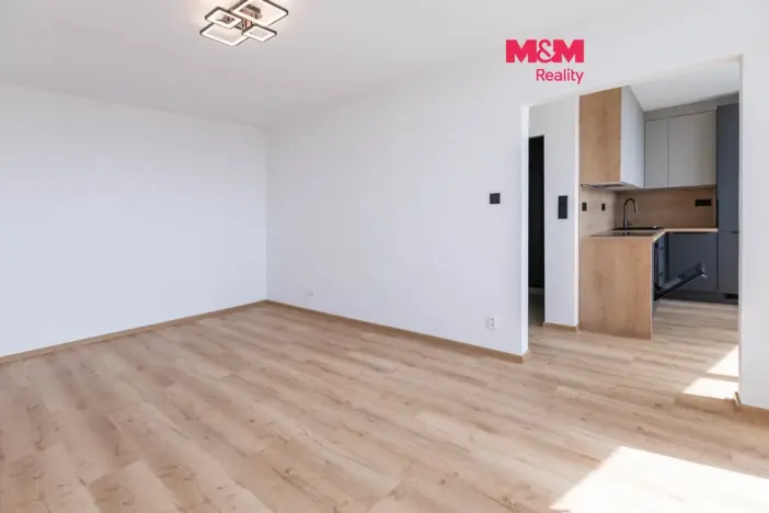 Prodej bytu 2+1, Plzeň - Doudlevce, 58 m2
