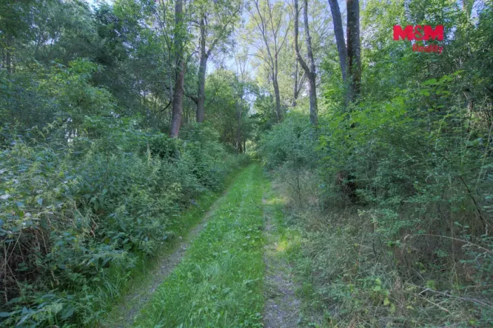 Prodej rodinného domu, Dívčí Hrad, 150 m2