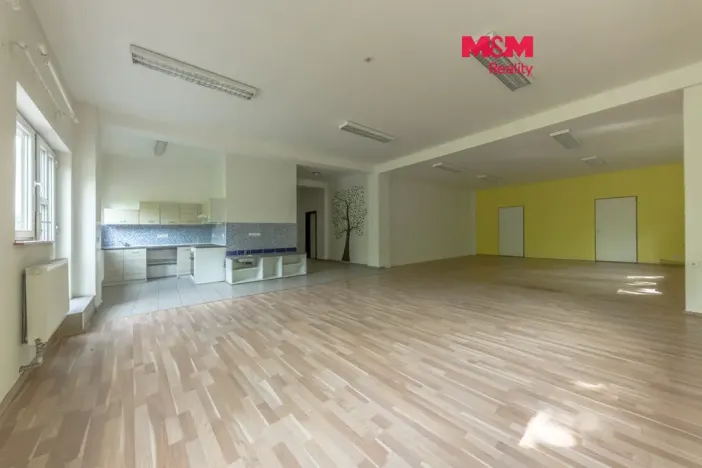 Pronájem komerční nemovitosti, Zdiby - Přemyšlení, U Továrny, 175 m2