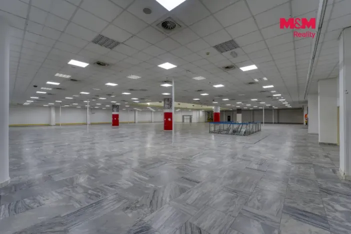 Pronájem obchodního prostoru, Plzeň - Východní Předměstí, Americká, 1603 m2