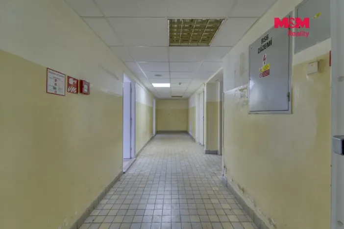 Pronájem obchodního prostoru, Plzeň - Východní Předměstí, Americká, 1603 m2