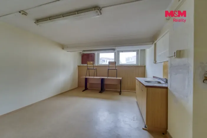 Pronájem obchodního prostoru, Plzeň - Východní Předměstí, Americká, 1603 m2