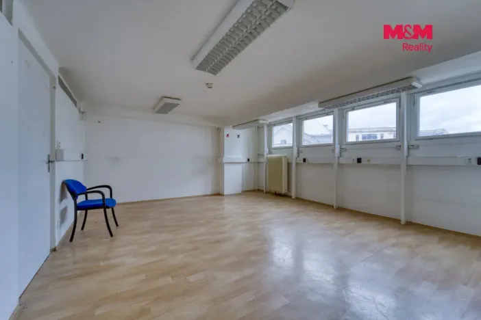 Pronájem obchodního prostoru, Plzeň - Východní Předměstí, Americká, 1603 m2