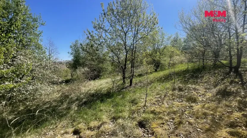 Prodej pozemku pro bydlení, Blatná - Čekanice, 3556 m2