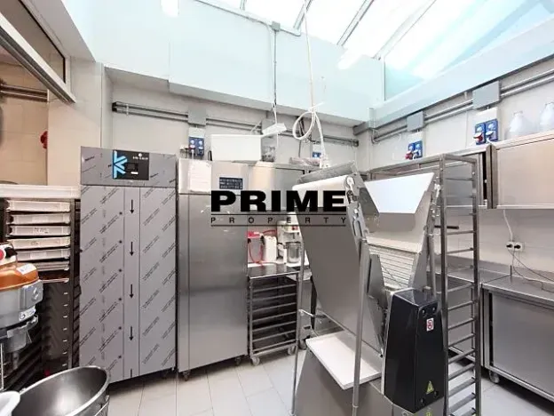 Pronájem obchodního prostoru, Praha - Vinohrady, Italská, 225 m2