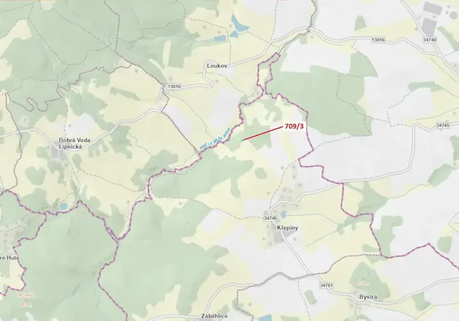 Dražba lesa, Řečice, 350 m2