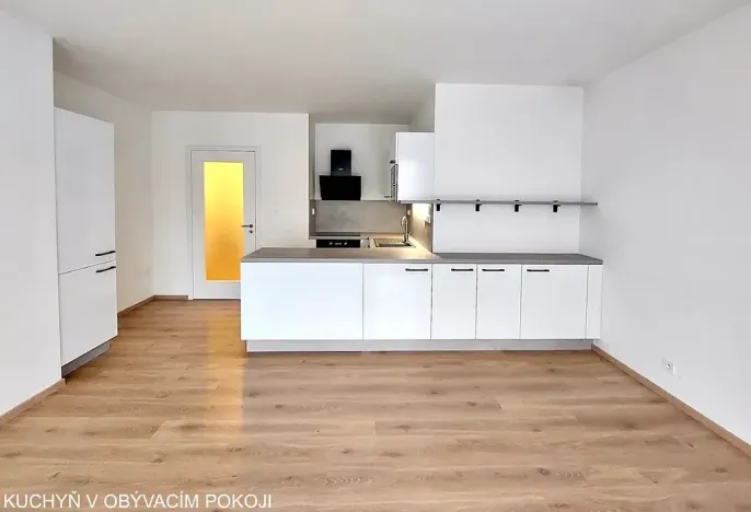 Pronájem bytu 2+kk, Brno, U Červeného mlýna, 53 m2