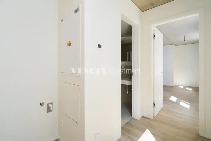 Prodej bytu 2+kk, Praha - Nusle, Boleslavova, 58 m2