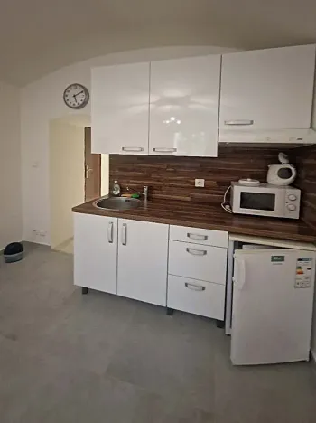 Pronájem bytu 1+kk, Praha - Břevnov, Šlikova, 23 m2