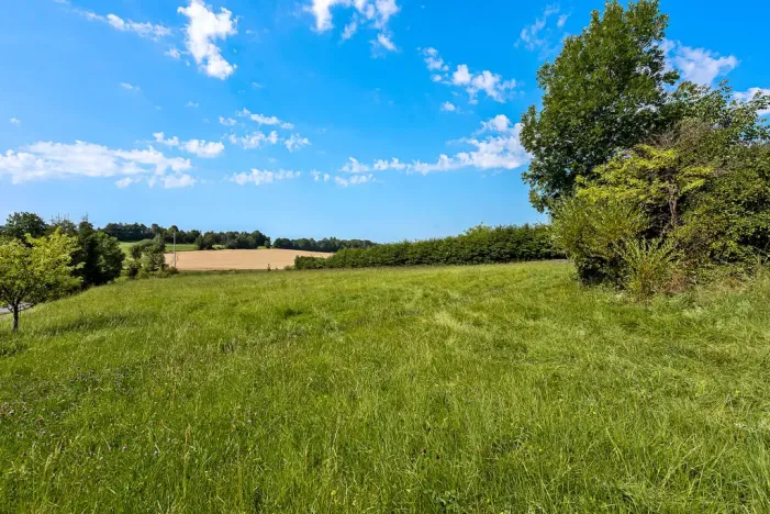Prodej pozemku, Horní Branná - Valteřice, 3767 m2