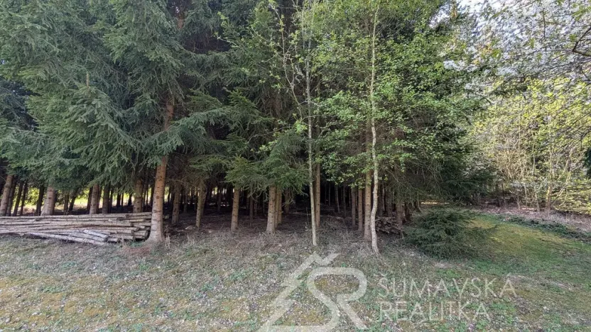 Prodej pozemku, Soběšice, 8878 m2