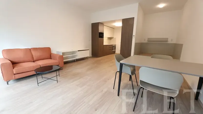 Pronájem bytu 1+kk, Praha - Žižkov, Hartigova, 48 m2