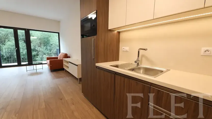 Pronájem bytu 1+kk, Praha - Žižkov, Hartigova, 48 m2